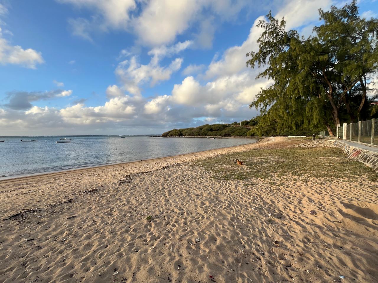 Bigarade Beach