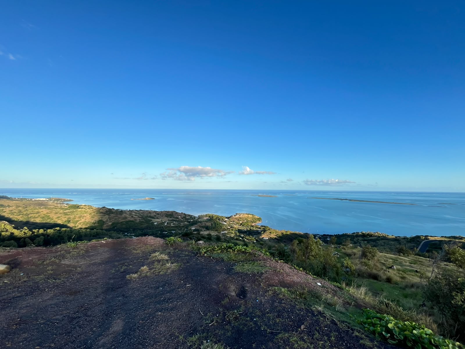 Citron Donis Viewpoint