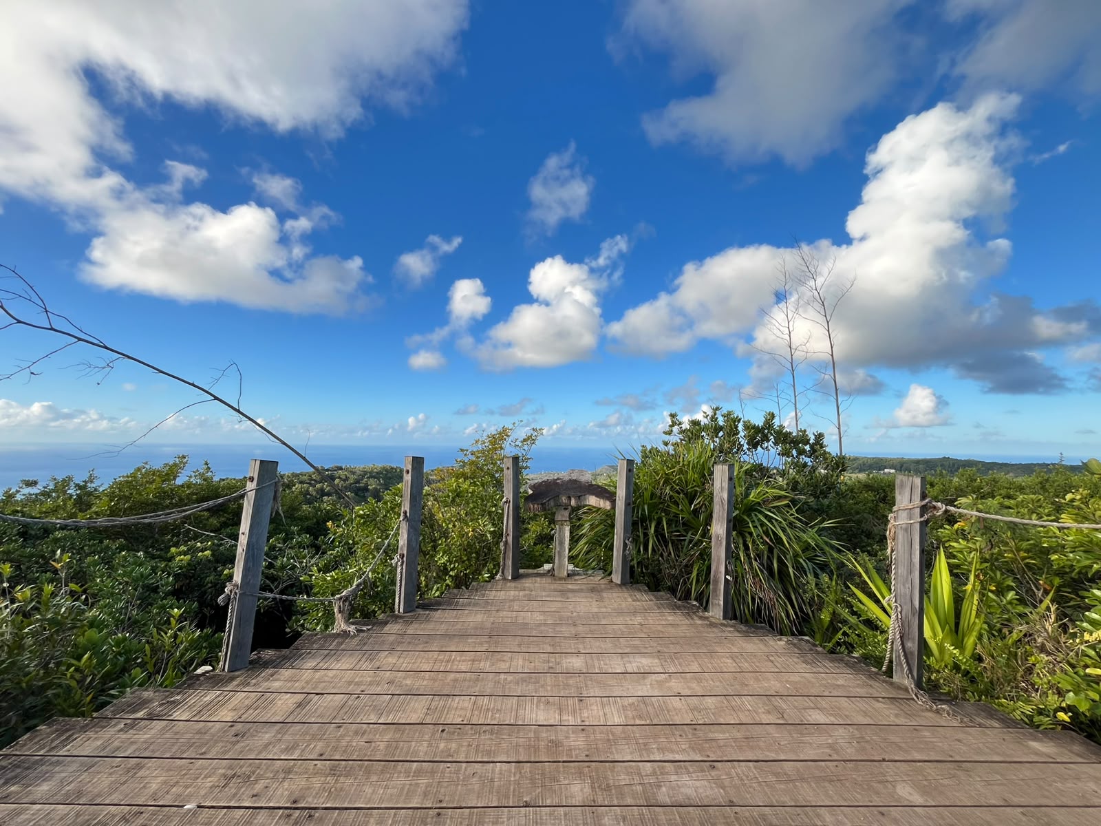 Mont Limon Viewpoint
