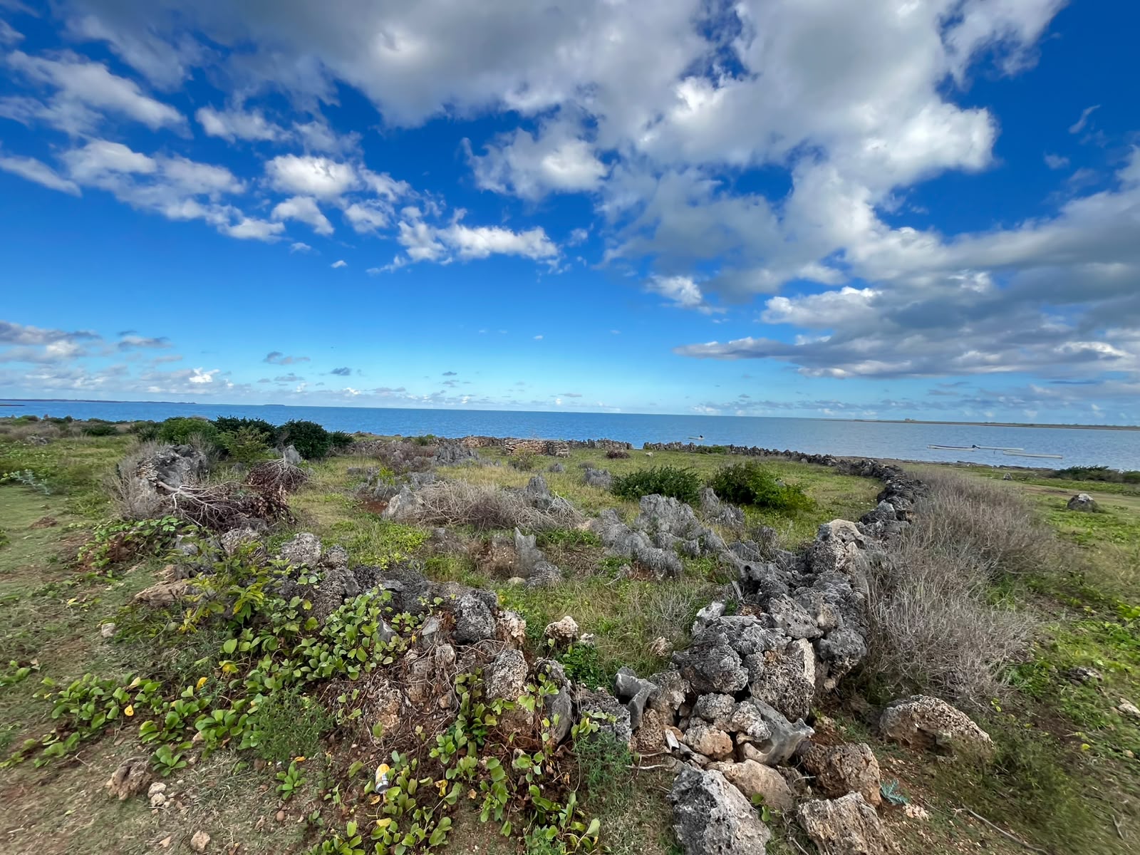 Historic Coral Stone Enclosure